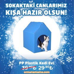 PP Plastik Kedi Evi