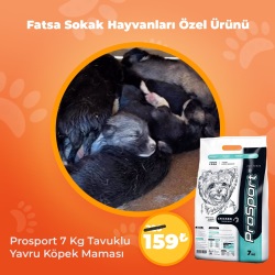 Fatsa Sokak Hayvanları Özel Ürünü