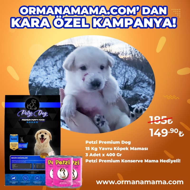 Petzi Dog Premium Puppy Tavuklu 15 Kg Yavru Köpek Maması 3 Adet x 400 Gr Petzi Premium Konserve Mama HEDİYELİ