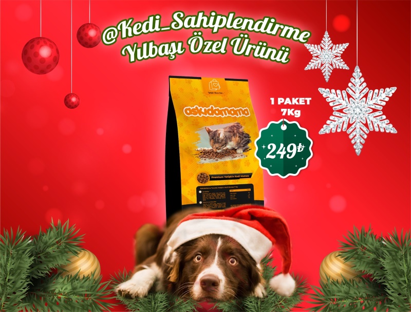 @kedi_sahiplendirme Yılbaşı Özel Ürünü