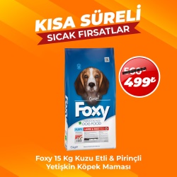 Foxy Kuzu Etli Yetişkin Köpek Maması 15 Kg