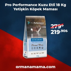 Pro Performance 18 Kg Kuzu Etli Yetişkin Köpek Maması