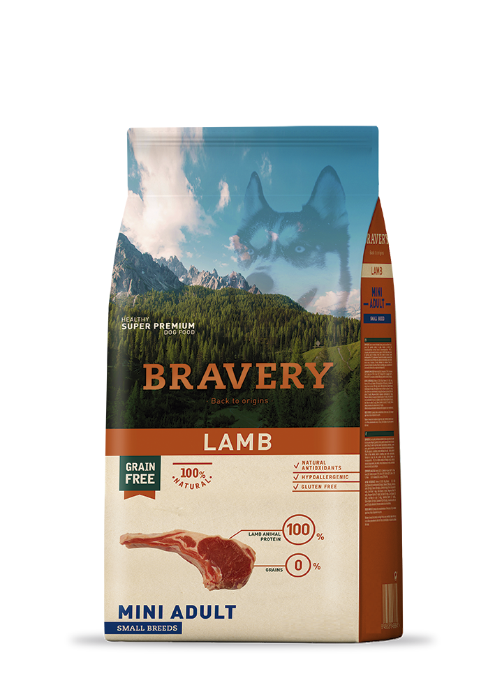 Bravery Adult Small Breed Lamb Tahılsız Kuzu Etli Küçük Irk Yetişkin Köpek Maması 2 Kg