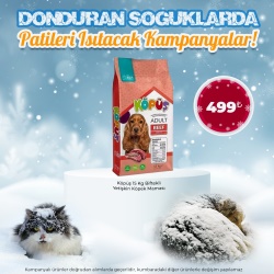 Köpüş 15 Kg Biftekli Yetişkin Köpek Maması