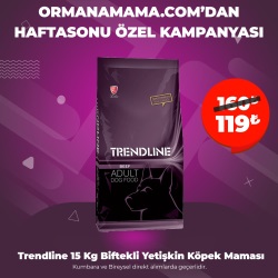 Trendline 15 Kg Biftekli Yetişkin Köpek Maması