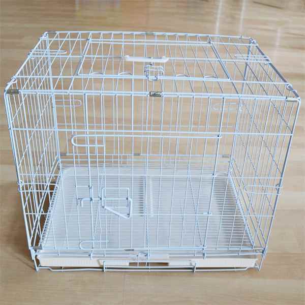 Kedi ve Yavru Köpek İçin (beyaz)