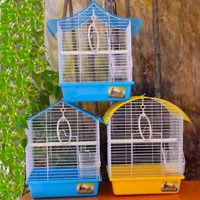 Karışık 3 Model, 12 Adet Renkli Kafes