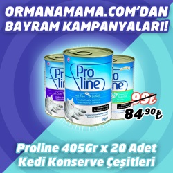 Proline 415 Gr x 20 Adet Kedi Konserve Çeşitleri