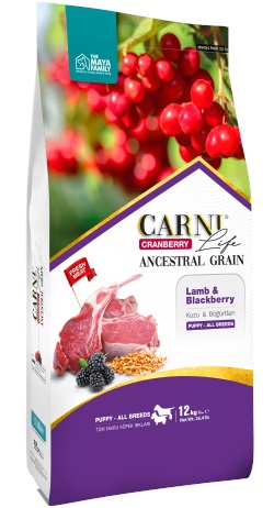 Carni Life Az Tahıllı Kuzu Etli Böğürtlen ve Kızılcıklı Yavru Köpek Maması 12 Kg