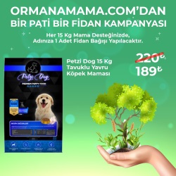 Petzi Dog 15 Kg Tavuklu Yavru Köpek Maması (Fidan Hediyeli)