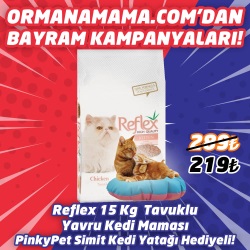 Reflex Tavuklu Yavru Kedi Maması 15 Kg  PinkyPet Simit Kedi Yatağı Hediye