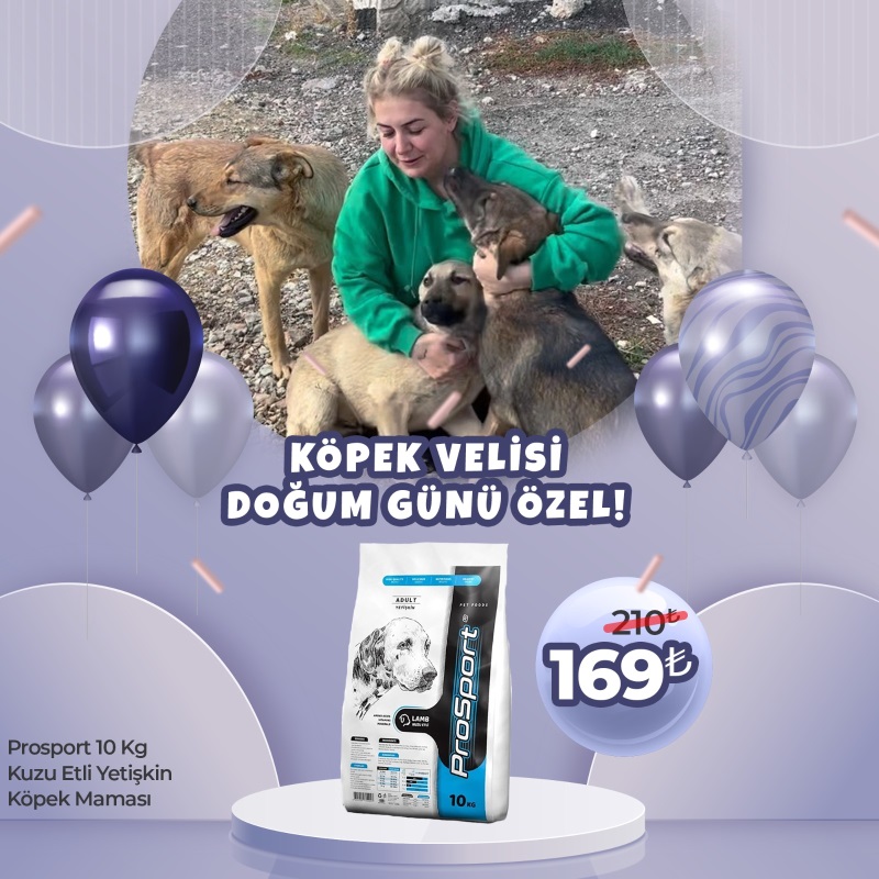 Prosport 10 Kg Kuzu Etli Yetişkin Köpek Maması