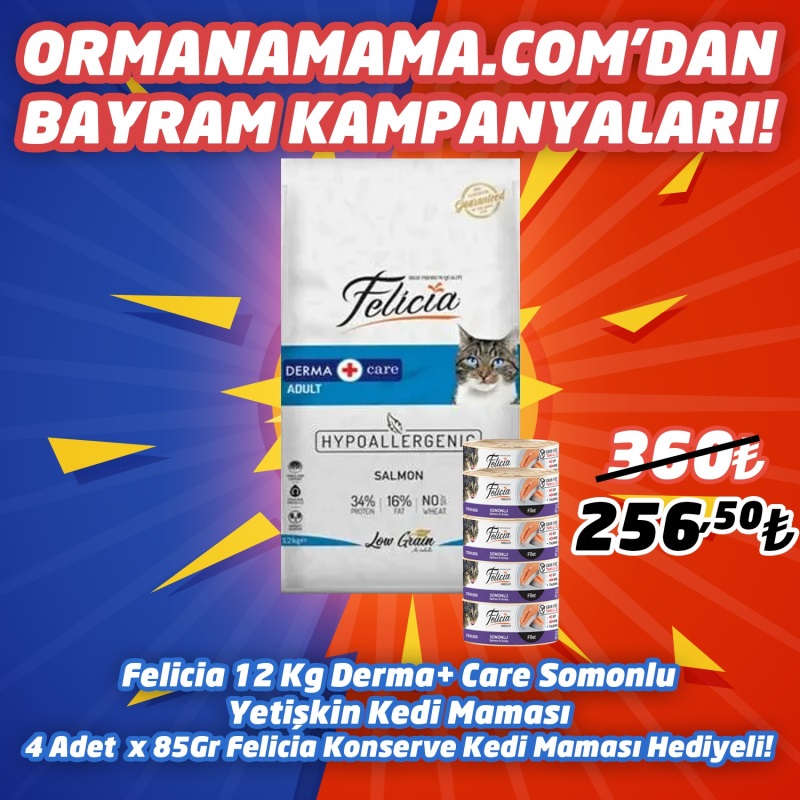 Felicia High Premium Somonlu Yetişkin Kedi Maması 12 Kg   4 Adet Felicia 85 Gr Konserve Hediye