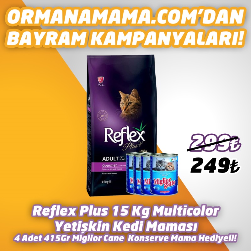 Reflex Plus Tavuklu Renkli Taneli Yetişkin Kedi Maması 15 Kg  4 Adet 415 Gr Miglior Gatto Konserve Hediye