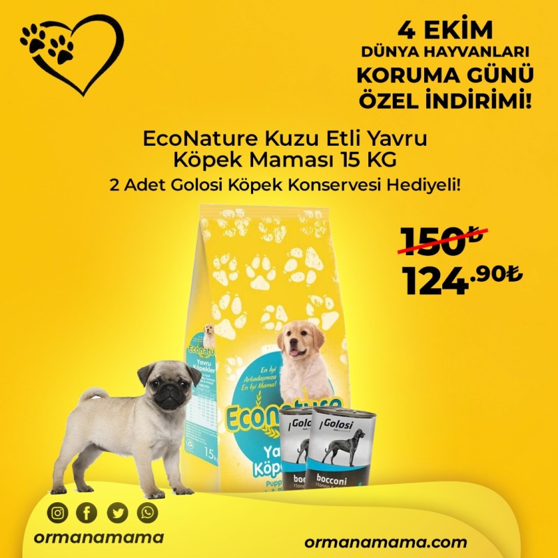 Eco Nature 15 Kg Kuzu Etli Puppy Yavru Köpek Maması 2 Adet Golosi Konserve Mama Hediyeli