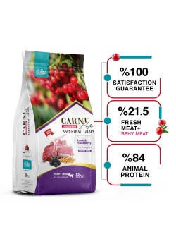 Carni Life Kızılcık Kuzu Etli ve Böğürtlenli Mini Irk Yavru Köpek Maması 2.5 Kg