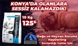 Doğa ve Hayvan Koruma HayDerOrg Özel Konya Destek Ürünü