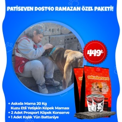Patiseven Dost40 Ramazan Özel Paketi