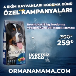 Pro Choice Pro Derma 18 Kg Kuzu Etli Yetişkin Köpek Maması