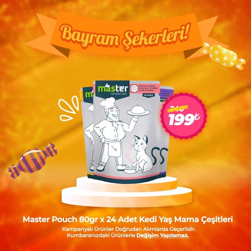 Master Pouch 80gr x 24 Adet Kedi Pouch Mama Çeşitleri