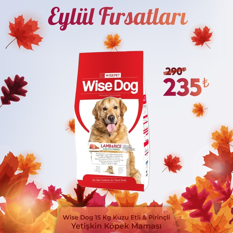 Wise Dog Kuzu Etli Yetişkin Köpek Maması 15 Kg