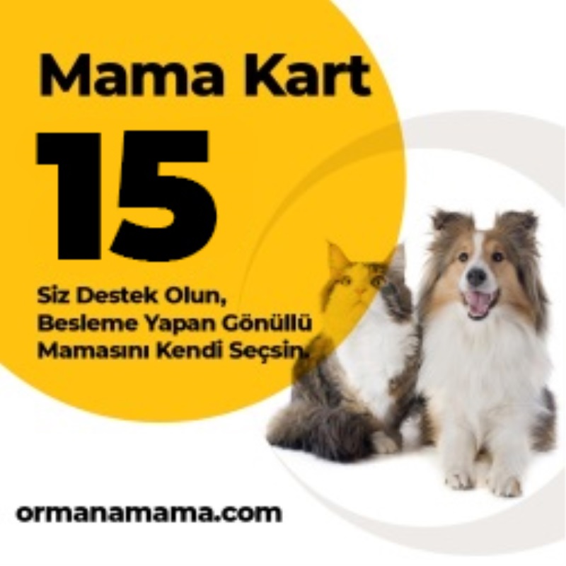 Mama Hediye Kartı 15