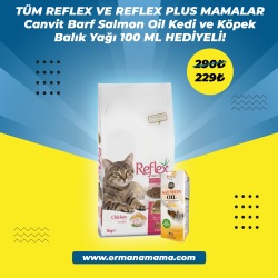 Reflex Tavuklu 15 Kg Kitten Yavru Kedi Maması Canvit 100ML Kedi ve Köpek için Balık Yağı Hediyeli!