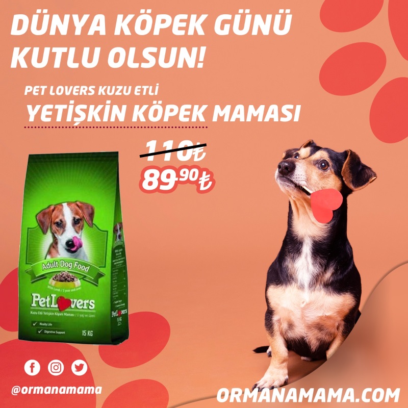 Pet Lovers Kuzu Etli Yetişkin Köpek Maması 15 Kg