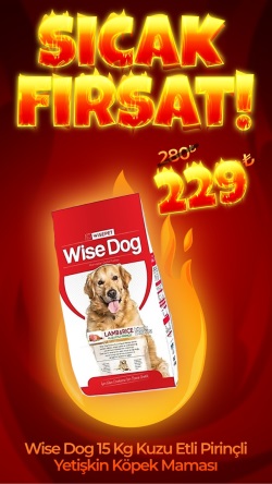 Wise Dog Kuzu Etli Yetişkin Köpek Maması 15 Kg (Direkt Alım)