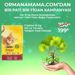 Friskies Etli - Tavuklu - Sebzeli Yetişkin Kedi Maması 10 kg (Fidan Hediyeli)