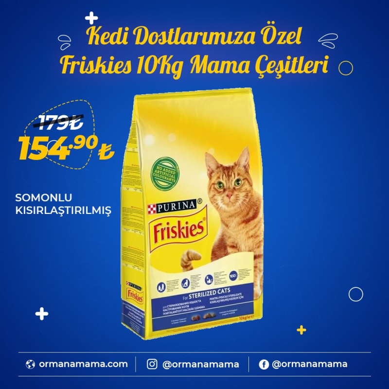 Friskies 10 Kg Somonlu Kedi Maması