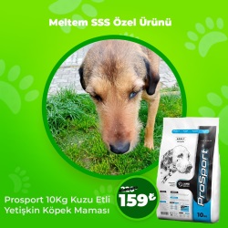 Meltem SSS Özel Ürünü Köpek