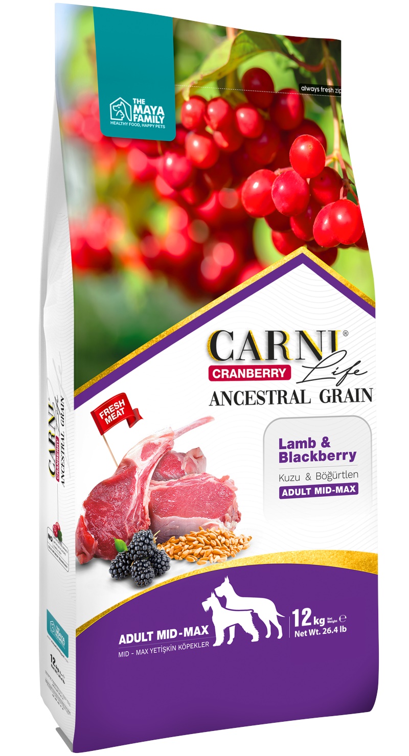 Carni Life Kızılcık Kuzu Etli ve Böğürtlenli Medium & Maxi Yetişkin Köpek Maması 12 kg