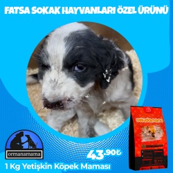 Fatsa Sokak Hayvanları Özel 1 Kg Köpek Maması