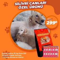 10 Kg Köpek Maması ve 12 Konserve Silivri Canları Özel Ürünü