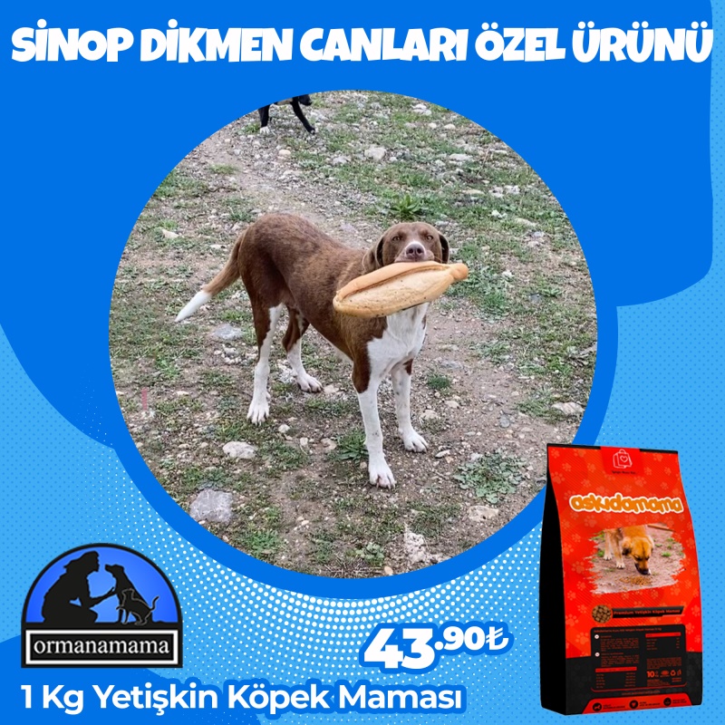 Sinop Dikmen Canları Özel 1 Kg Köpek Maması