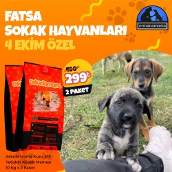 Fatsa Sokak Hayvanları 4 Ekim Özel