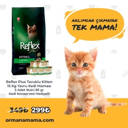 Reflex Plus Tavuklu Kitten 15 Kg Yavru Kedi Maması 5 Adet Nutri 85 Gr Konserve Hediyeli