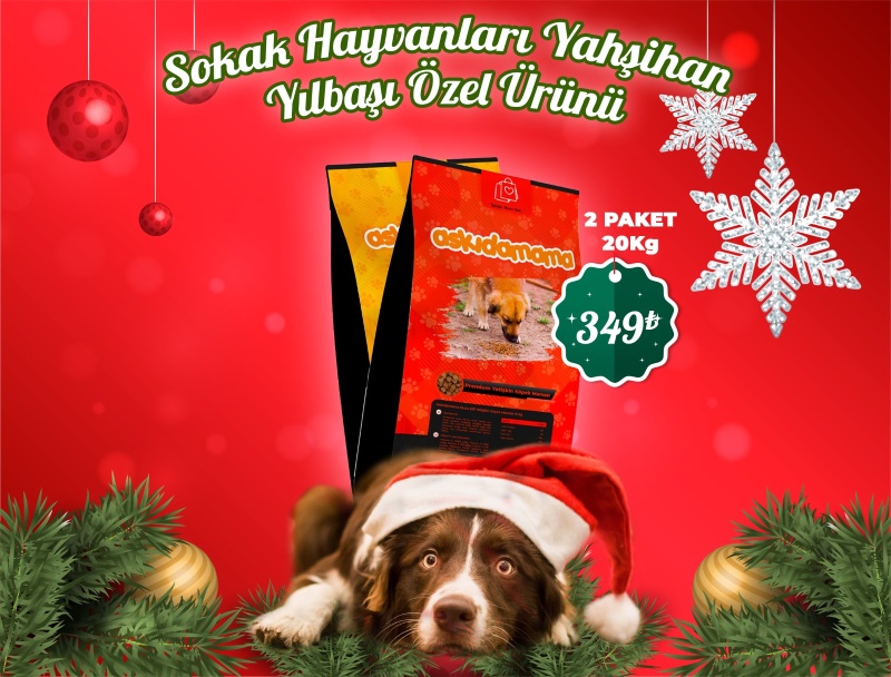 Sokak Hayvanları Yahşihan Yılbaşı Özel Ürünü