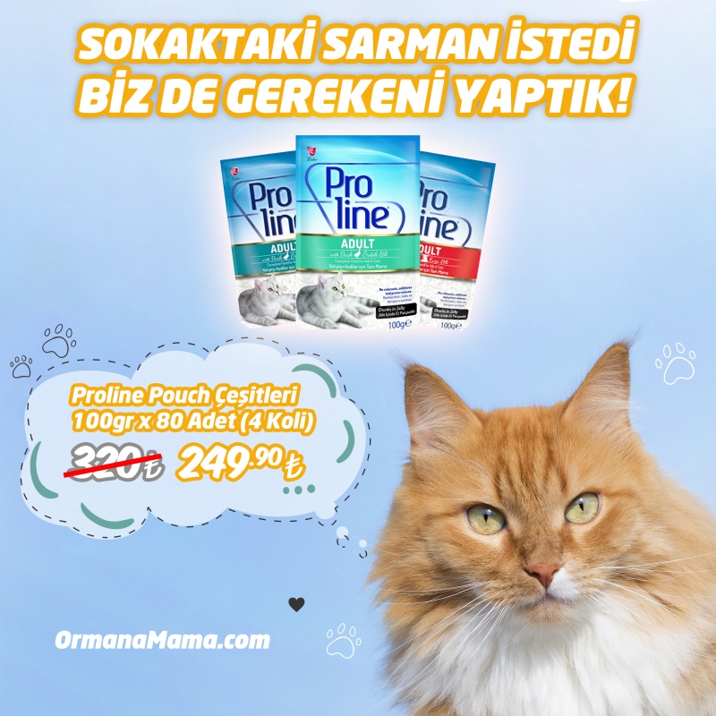 Proline Pouch 100gr Mama Çeşitleri x 80 Adet (4 Koli)