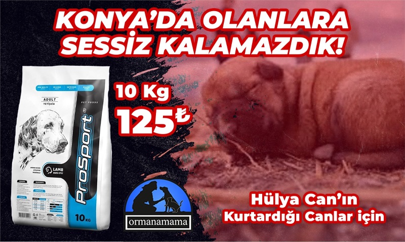 Hülya Can Özel Konya Destek Ürünü
