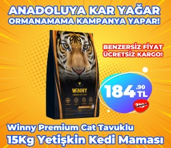Winny Premium 15 Kg Tavuklu Yetişkin Kedi Maması