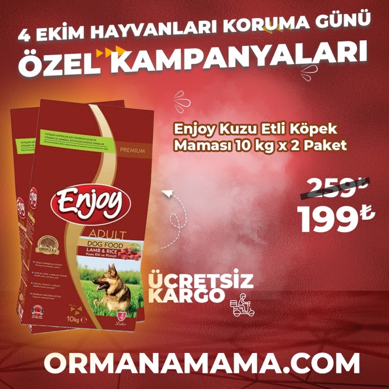 Enjoy 10 Kg Kuzu Etli Yetişkin Köpek Maması x 2 Paket