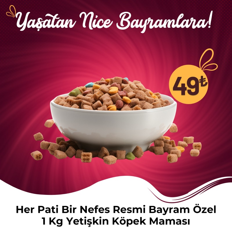 Her Pati Bir Nefes Resmi Bayram Özel