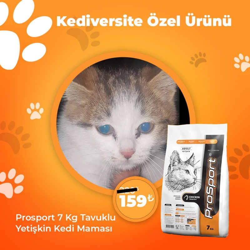 Kediversite Özel Ürünü