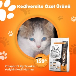 Kediversite Özel Ürünü