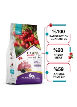 Carni Life Kızılcık Kuzu Etli ve Böğürtlenli Medium & Maxi Yetişkin Köpek Maması 2.5 Kg