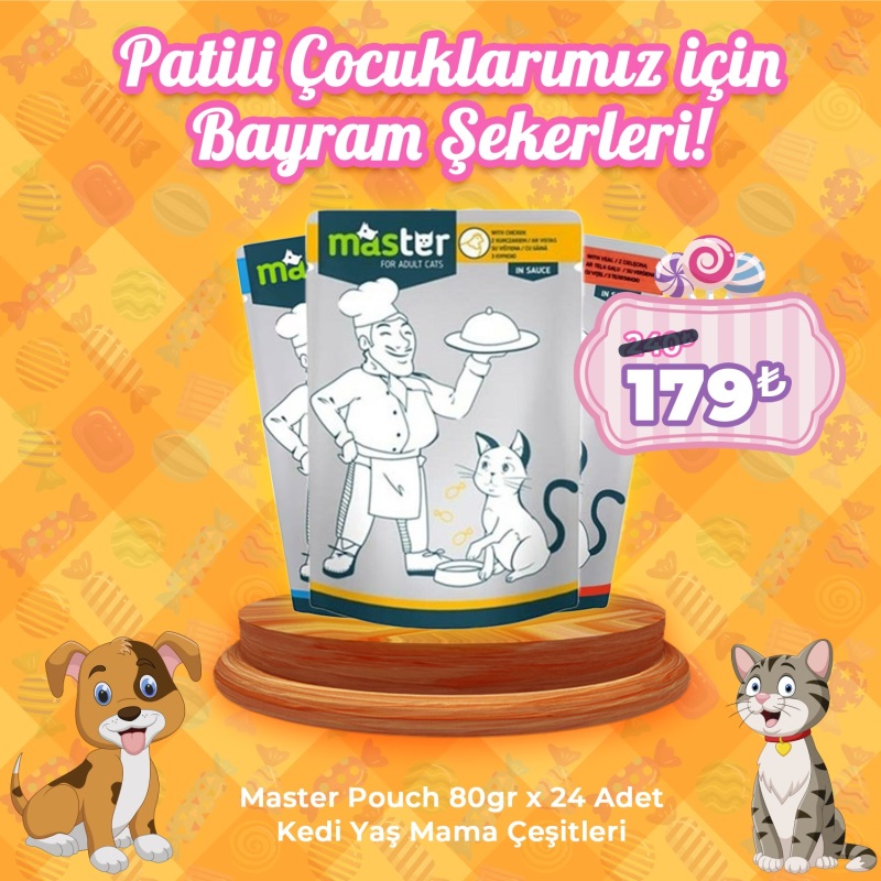 Master Pouch 80gr x 24 Adet Kedi Pouch Mama Çeşitleri