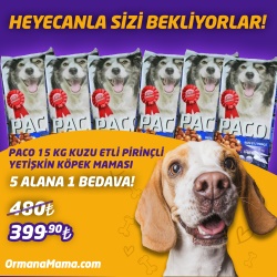 Paco 15 Kg Kuzu Etli Pirinçli Yetişkin Köpek Maması 5 Adet Alana 1 Bedava!