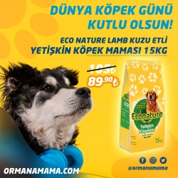 Eco Nature Kuzu Etli Yetişkin Köpek Maması 15 Kg